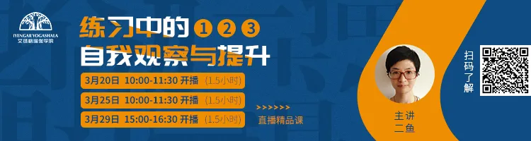 678体育官方网站图片