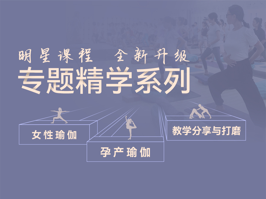 专题精修系列