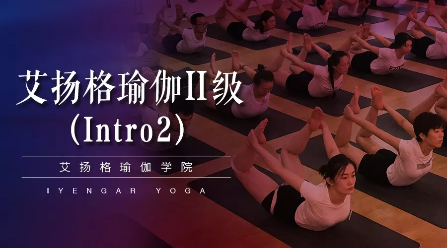 678体育官方网站图片