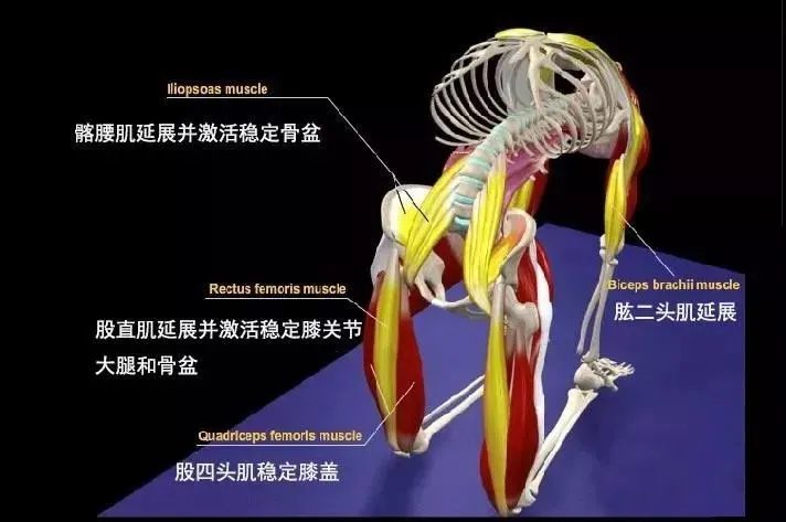 678体育官方网站图片