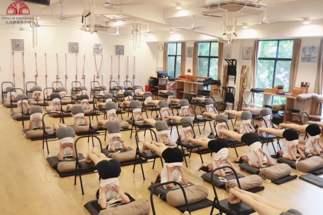 678体育官方网站图片