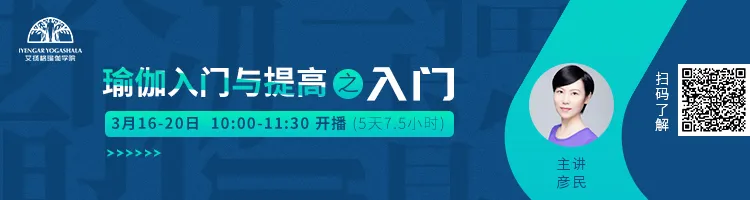 678体育官方网站图片
