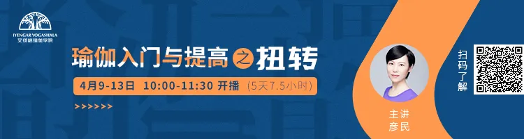 678体育官方网站图片