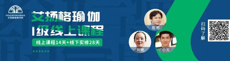678体育官方网站图片