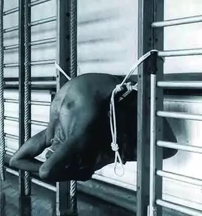 678体育官方网站图片