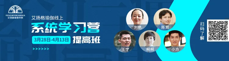 678体育官方网站图片