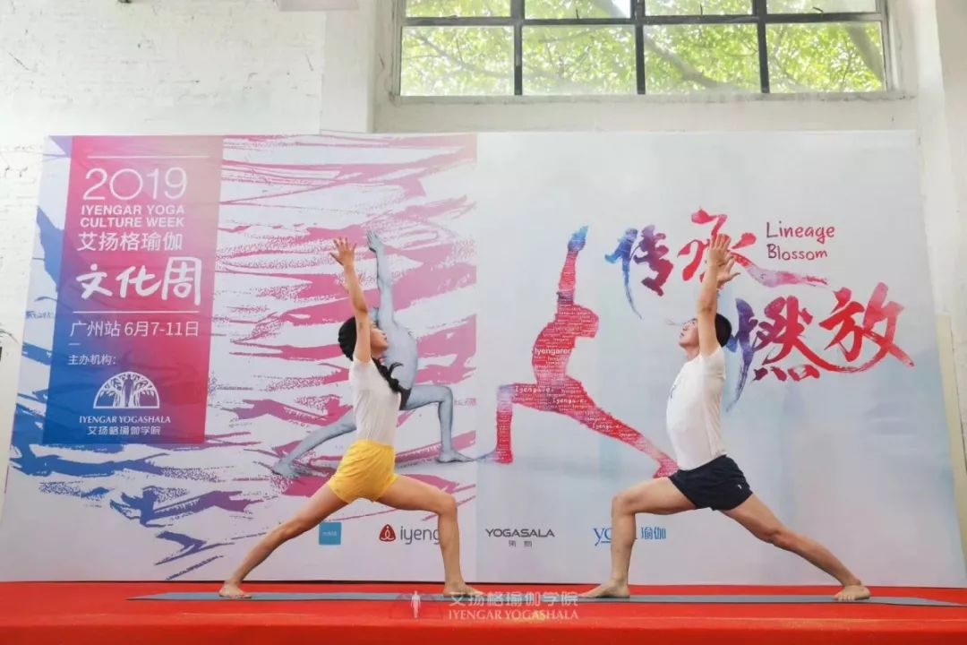678体育官方网站图片