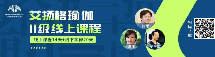 678体育官方网站图片