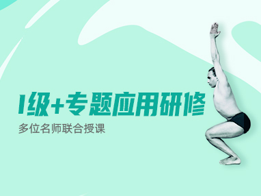 I级+专题应用研修