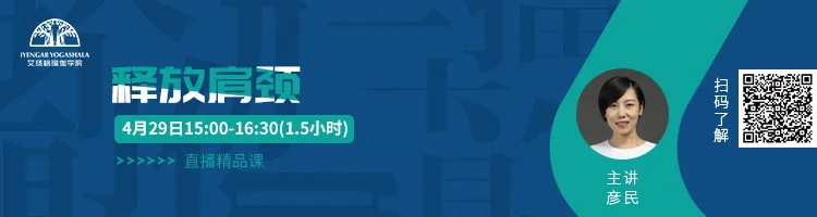 678体育官方网站图片