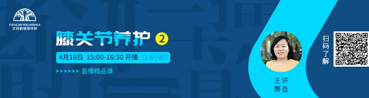678体育官方网站图片